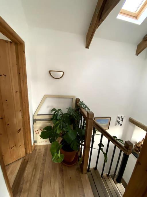 9A Viaduct Cottage - The Cosiest Bolthole In The Sw! Hayle Kültér fotó